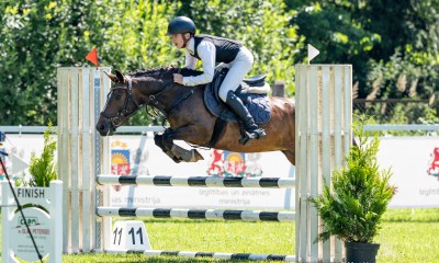 Sport pony