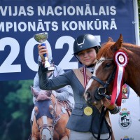 Champion pony