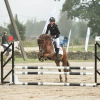 Super iseloomuha Rosetiponi